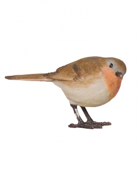 Rouge gorge r�sine