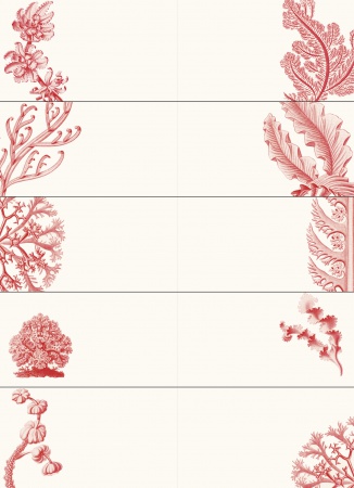 Set de personnalisation LST Art Forms in Nature