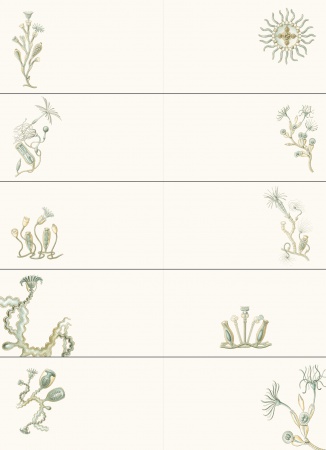 Set de personnalisation LST Art Forms in Nature