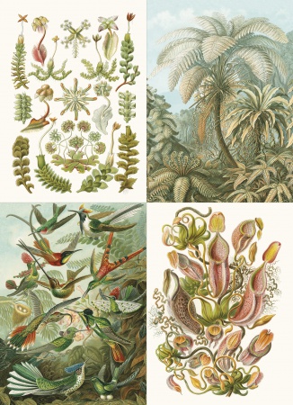 Set de personnalisation LST Art Forms in Nature