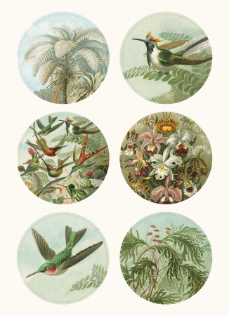 Set de personnalisation LST Art Forms in Nature