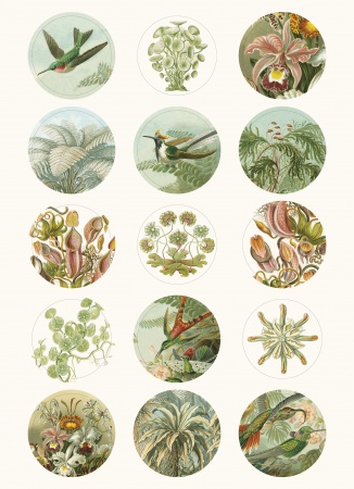 Set de personnalisation LST Art Forms in Nature