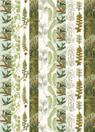 Set de personnalisation LST Art Forms in Nature