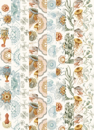 Set de personnalisation LST Art Forms in Nature