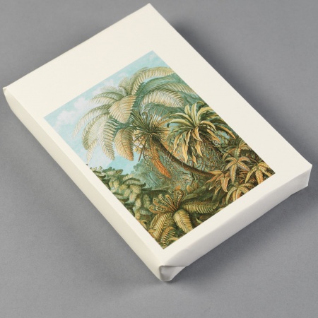 Set de personnalisation LST Art Forms in Nature