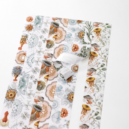 Set de personnalisation LST Art Forms in Nature