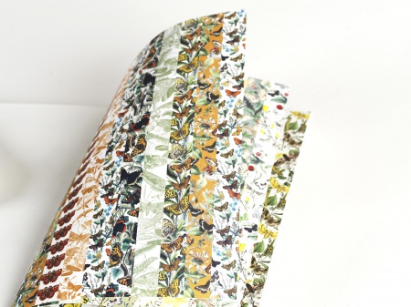 Set de personnalisation LST Butterflies