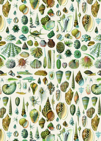 Set de personnalisation LST Natural History