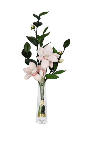 Summer Magnolia in Pink & Gold  - vase clair  - magnolia rose & or
