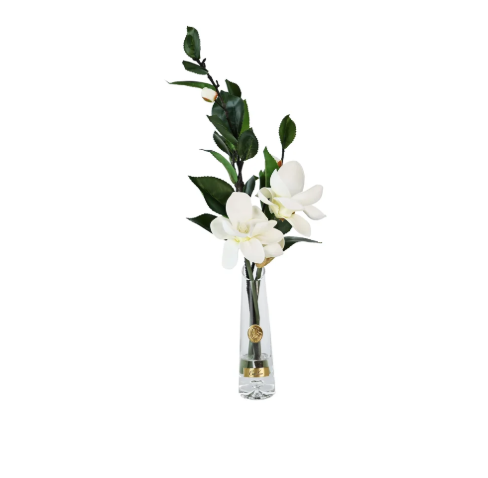 Summer Magnolia in White & Gold  - vase clair  - magnolia Blanc & or
